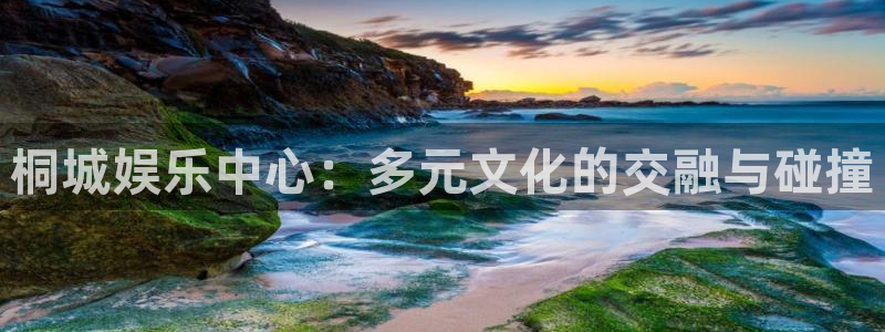 红足1世2站：桐城娱乐中心：多元文化的交融与碰撞