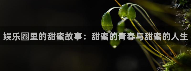 红足1世足球网页版入口：娱乐圈里的甜蜜故事：甜蜜的青春与甜蜜的人生