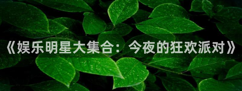 红足1世足球网址大全：《娱乐明星大集合：今夜的狂欢派对》