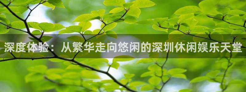 红足1世足球网页版入口：深度体验：从繁华走向悠闲的深圳休闲娱乐天堂