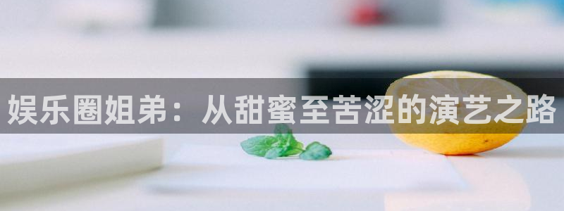红足1世足球网页版入口：娱乐圈姐弟：从甜蜜至苦涩的演艺之路