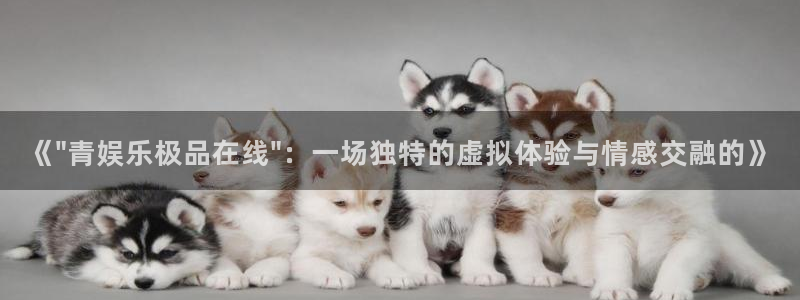 红足1世足球手机版：《\