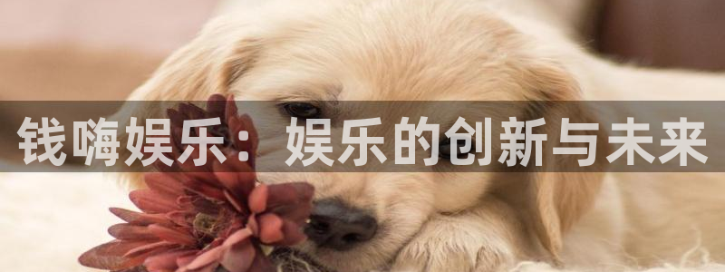 红足1世足球官网入口：钱嗨娱乐：娱乐的创新与未来