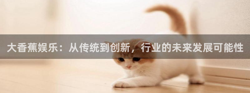 红足1世2站：大香蕉娱乐：从传统到创新，行业的未来发展可能性